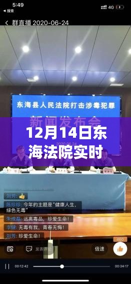 12月14日东海法院庭审实况直播回放，洞察法律细节的魅力