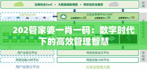 202管家婆一肖一码：数字时代下的高效管理智慧