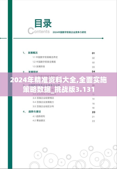 2024年精准资料大全,全面实施策略数据_挑战版3.131