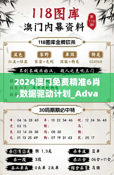 2024澳门免费精准6肖,数据驱动计划_Advance3.617