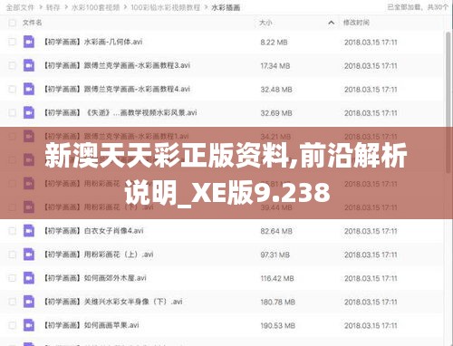 新澳天天彩正版资料,前沿解析说明_XE版9.238