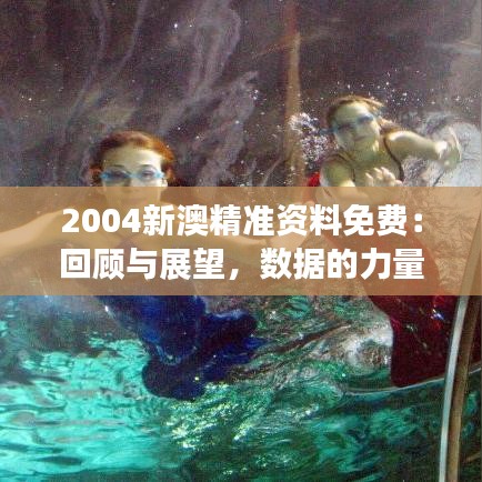 2004新澳精准资料免费：回顾与展望，数据的力量不可忽视