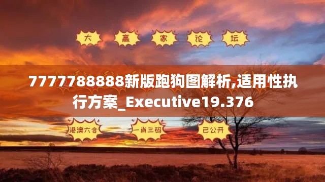 7777788888新版跑狗图解析,适用性执行方案_Executive19.376