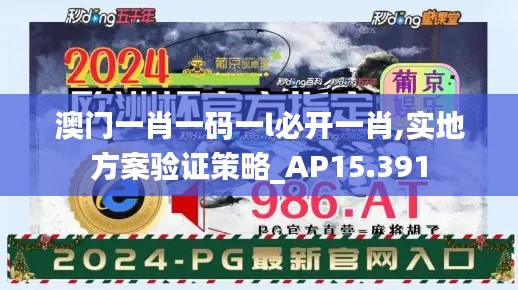 澳门一肖一码一l必开一肖,实地方案验证策略_AP15.391