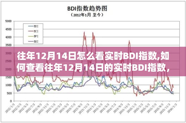 往年12月14日BDI指数实时查看指南，详细步骤与解析