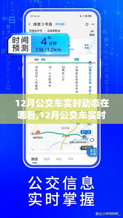 12月公交车实时动态查询指南，便捷出行，掌握公交动态