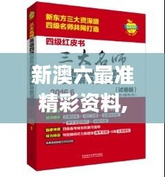 新澳六最准精彩资料,具体实施指导_薄荷版8.217