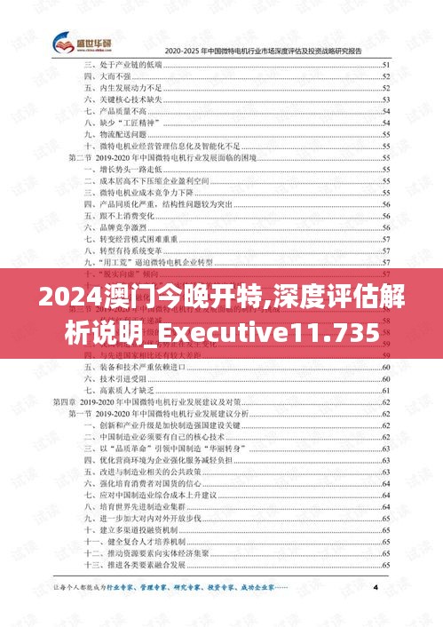 2024澳门今晚开特,深度评估解析说明_Executive11.735