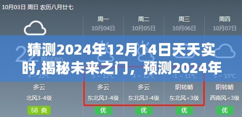 揭秘未来之门，预测与展望2024年12月14日的实时动态