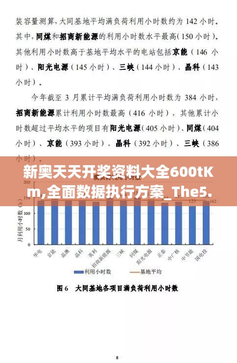 新奥天天开奖资料大全600tKm,全面数据执行方案_The5.788