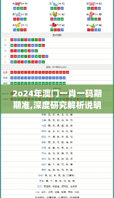 2o24年澳门一肖一码期期准,深度研究解析说明_5DM5.877