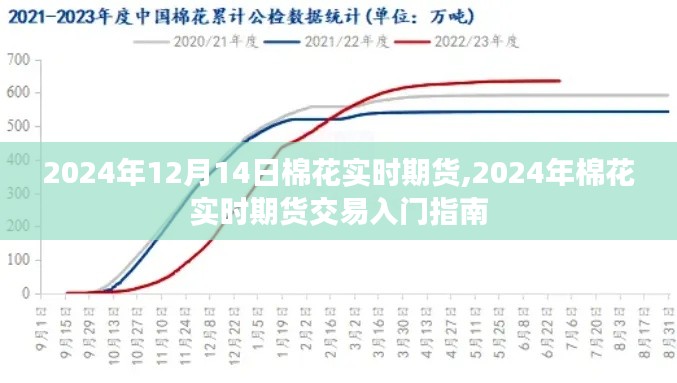 2024年棉花实时期货交易入门指南