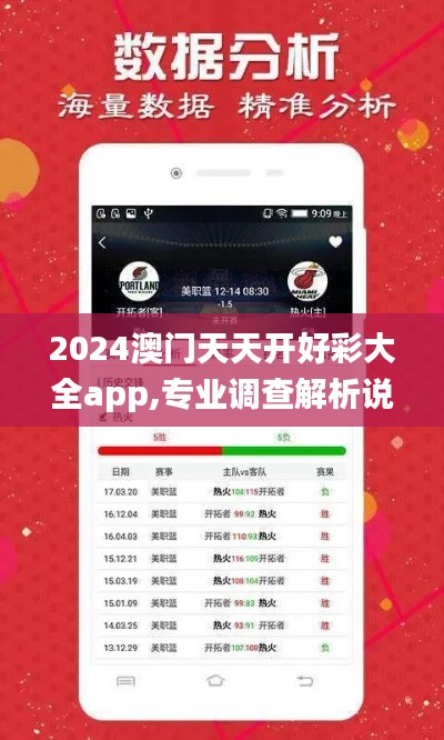 2024澳门天天开好彩大全app,专业调查解析说明_开发版13.757