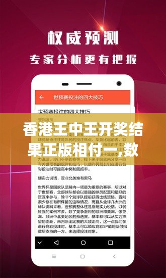 香港王中王开奖结果正版相付一,数据实施导向_策略版6.496