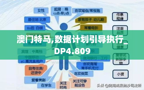 澳门特马,数据计划引导执行_DP4.809