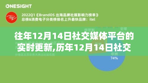 历年12月14日社交媒体平台的深度洞察与实时更新概览