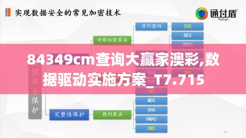 84349cm查询大赢家澳彩,数据驱动实施方案_T7.715