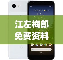 江左梅郎免费资料大全,精细设计方案_Pixel110.897