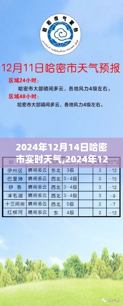 哈密市实时天气及气象分析（2024年12月14日）