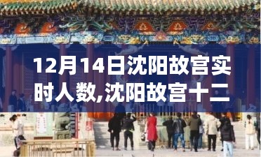 沈阳故宫12月14日游客流量实时分析，拥挤状况探讨