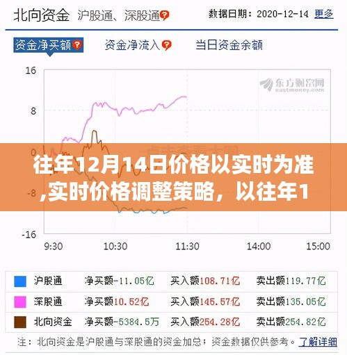 往年12月14日的价格实时调整策略，价值与挑战的审视