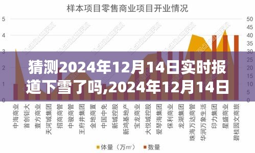 2024年12月14日雪落之际，冬日瑞雪的实时报道