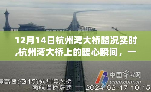 杭州湾大桥暖心瞬间与温情之旅，实时路况回顾