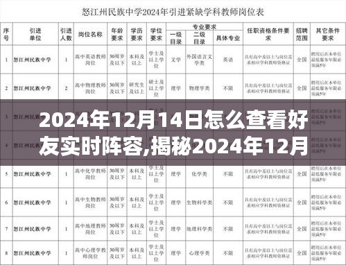 揭秘2024年12月14日查看好友实时阵容攻略，小红书上的实用指南