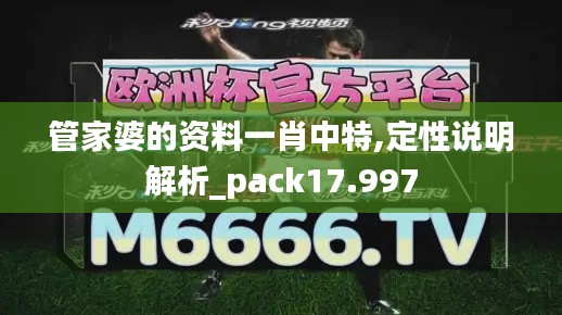 管家婆的资料一肖中特,定性说明解析_pack17.997