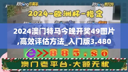 2024澳门特马今晚开奖49图片,高效评估方法_入门版3.480