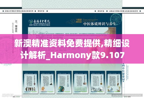 新澳精准资料免费提供,精细设计解析_Harmony款9.107