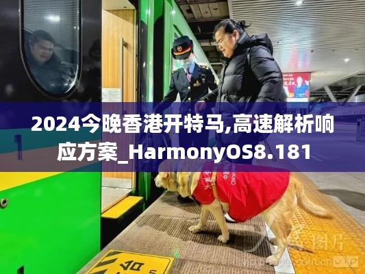 2024今晚香港开特马,高速解析响应方案_HarmonyOS8.181