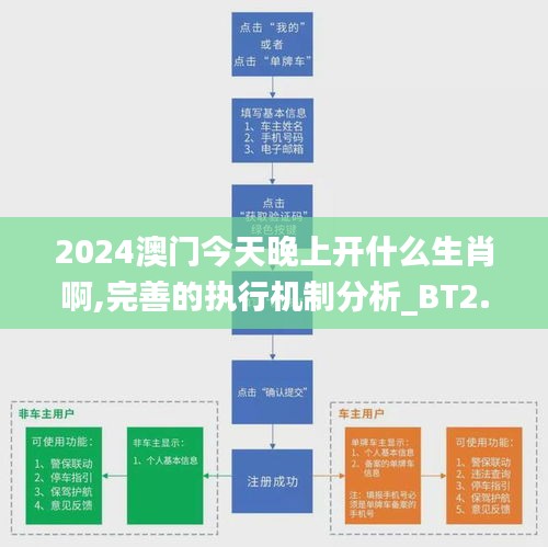 2024澳门今天晚上开什么生肖啊,完善的执行机制分析_BT2.989