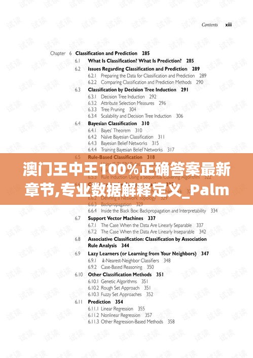 澳门王中王100%正确答案最新章节,专业数据解释定义_PalmOS15.961