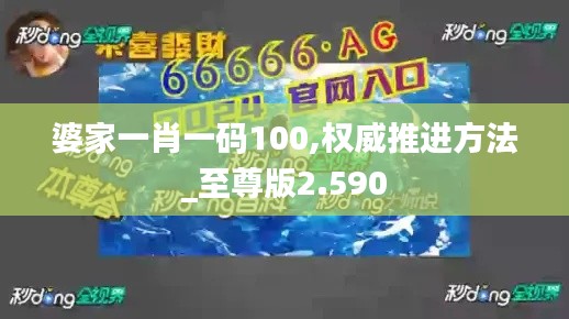 婆家一肖一码100,权威推进方法_至尊版2.590