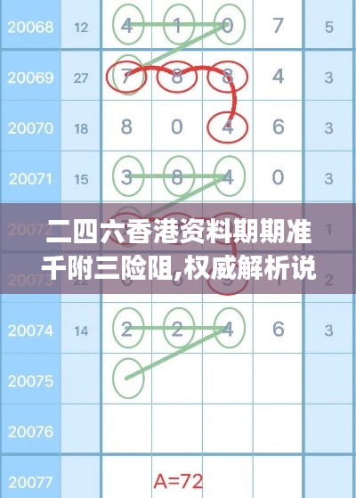 二四六香港资料期期准千附三险阻,权威解析说明_tool4.841