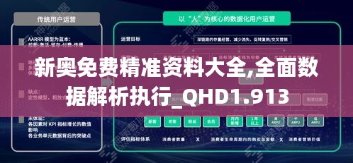 新奥免费精准资料大全,全面数据解析执行_QHD1.913