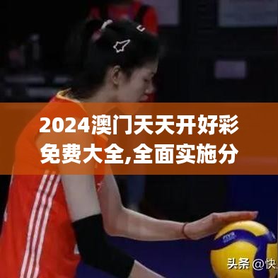 2024澳门天天开好彩免费大全,全面实施分析数据_铂金版9.802