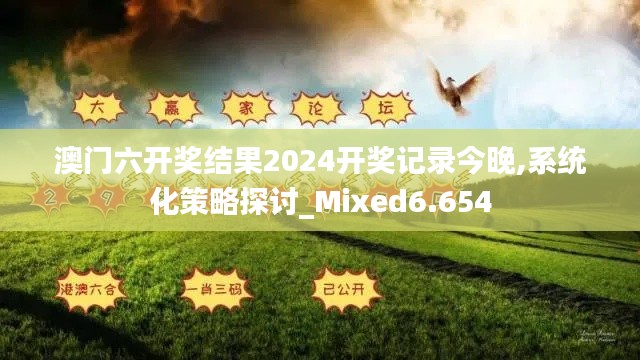 澳门六开奖结果2024开奖记录今晚,系统化策略探讨_Mixed6.654