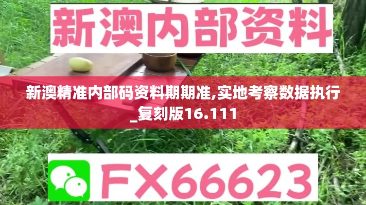 新澳精准内部码资料期期准,实地考察数据执行_复刻版16.111