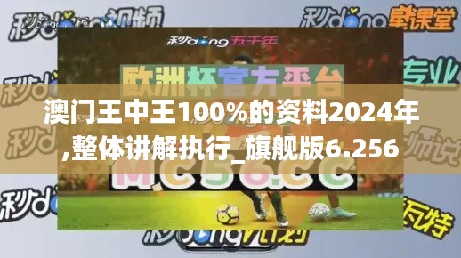 澳门王中王100%的资料2024年,整体讲解执行_旗舰版6.256