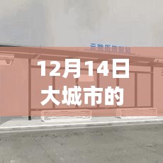 12月14日大城市的实时公交，高效出行，智慧之选