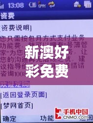 新澳好彩免费资料查询最新版：深入解析新澳好彩的实用价值与市场前景