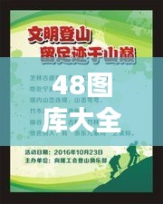 48图库大全免费资料图：商务演示的高效素材库