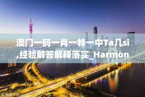 澳门一码一肖一特一中Ta几si,经验解答解释落实_HarmonyOS9.646