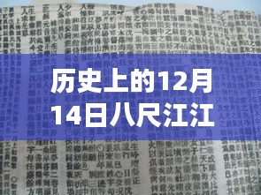 历史上的12月14日八尺江水位实时变化，全面测评与深度解析