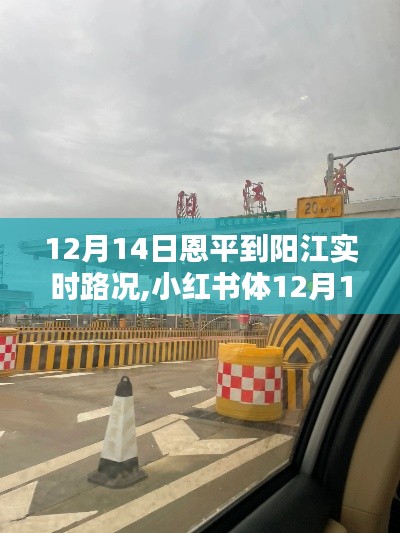 12月14日恩平至阳江路况播报及出行指南，实时路况更新，必备资讯