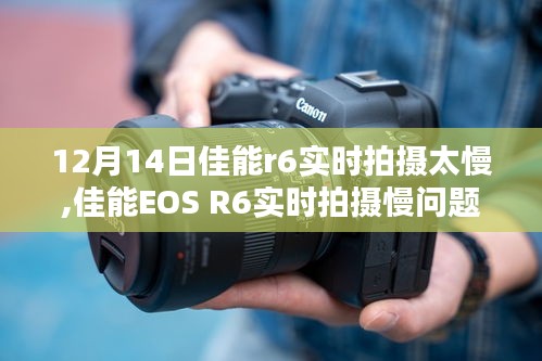 佳能EOS R6实时拍摄慢问题解决方案指南，适合初学者与进阶用户的实用指南（12月14日更新）