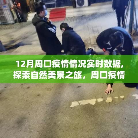 周口疫情实时数据与探索自然美景之旅，疫情后的宁静与新生心灵之旅