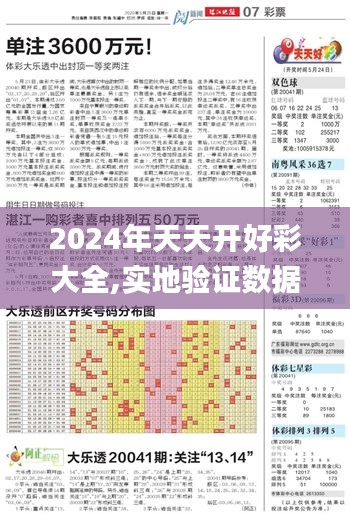 2024年天天开好彩大全,实地验证数据设计_XE版3.149